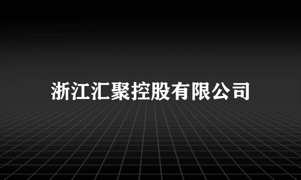 浙江汇聚控股有限公司