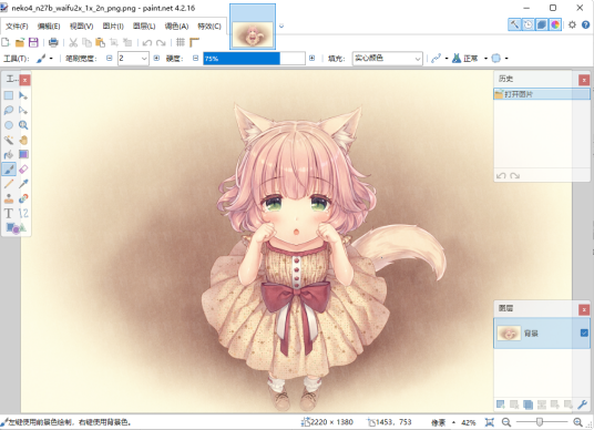 paint.net