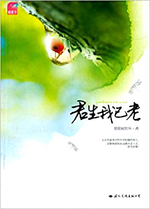 君生我已老（2010年国际文化出版公司出版的图书）