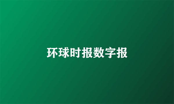 环球时报数字报