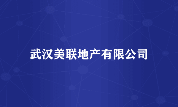 武汉美联地产有限公司
