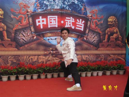 武当拳（中国传统武术拳法）