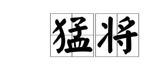 猛将（陈冠任著图书）