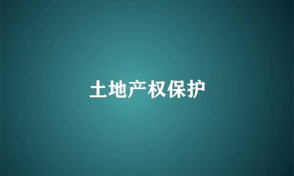 土地产权保护