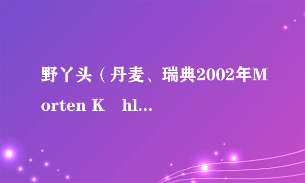 野丫头（丹麦、瑞典2002年Morten Køhlert执导的剧情电影）