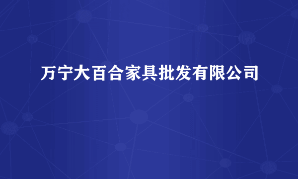 万宁大百合家具批发有限公司