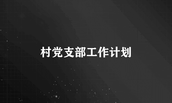 村党支部工作计划