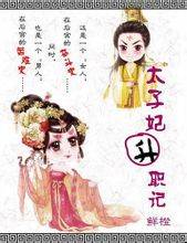 太子妃升职记（2012年万卷出版公司出版的图书）
