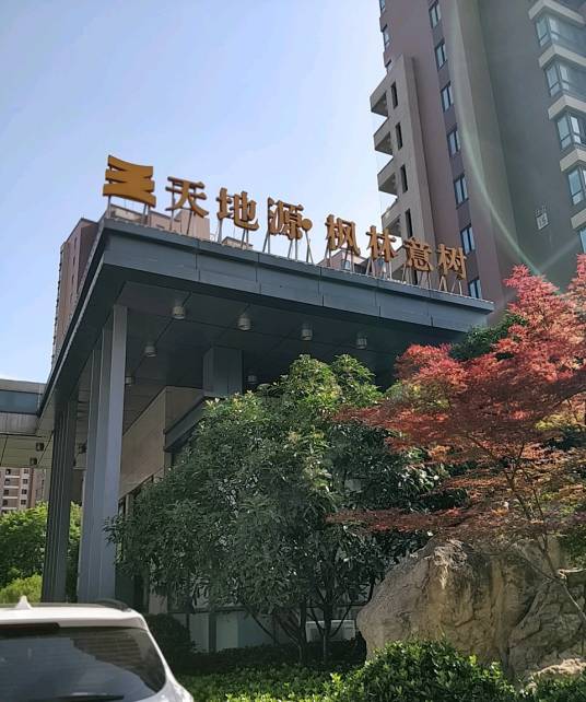 天地源枫林意树