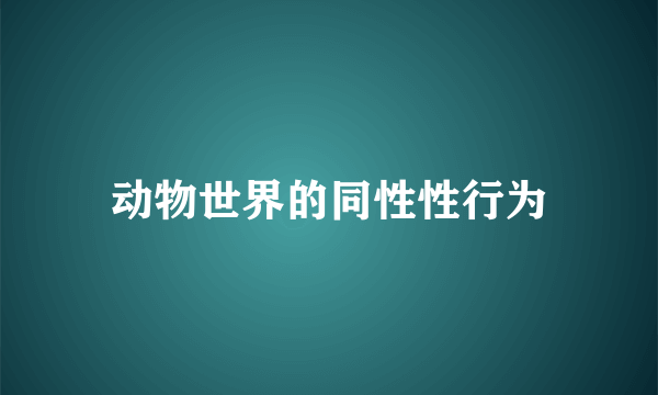 动物世界的同性性行为