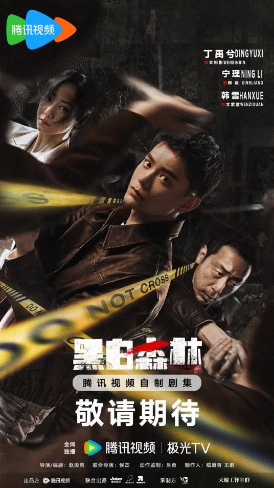 黑白森林（2024年丁禹兮、宁理主演的悬疑刑侦剧）