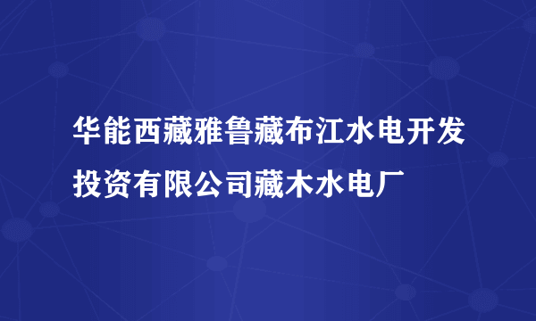 华能西藏雅鲁藏布江水电开发投资有限公司藏木水电厂