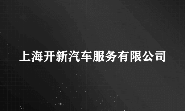 上海开新汽车服务有限公司