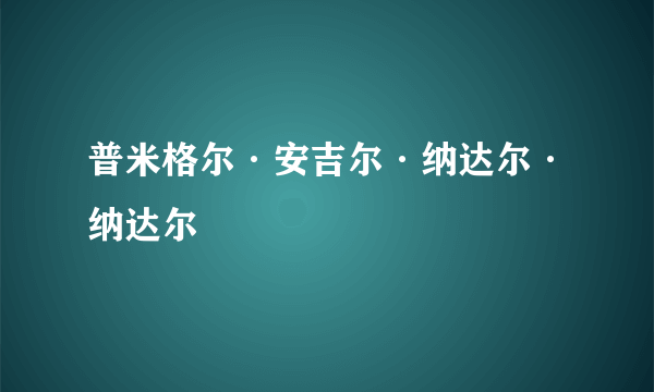 普米格尔·安吉尔·纳达尔·纳达尔