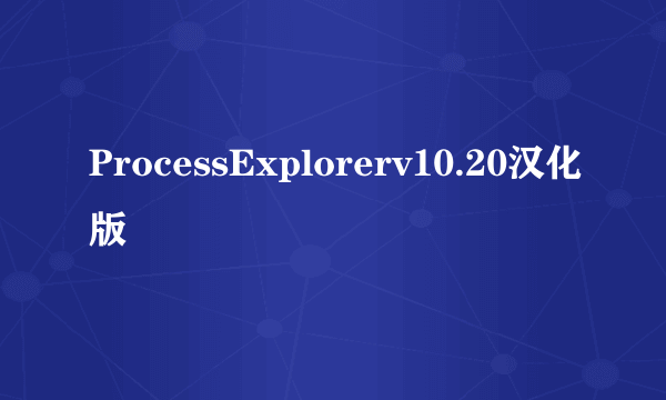 ProcessExplorerv10.20汉化版