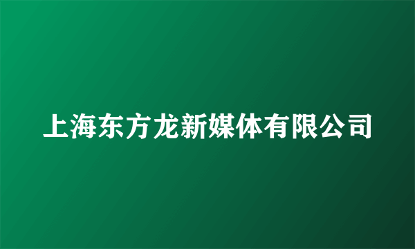 上海东方龙新媒体有限公司