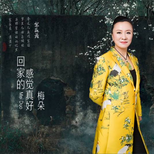 回家的感觉真好（梅朵演唱歌曲）