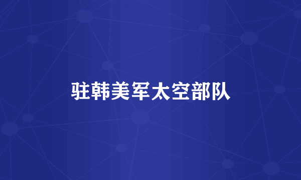 驻韩美军太空部队
