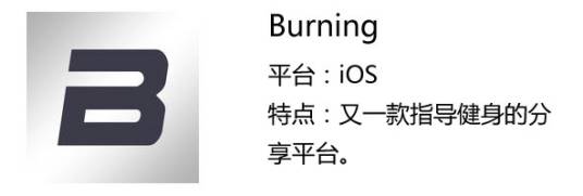 Buring（软件）