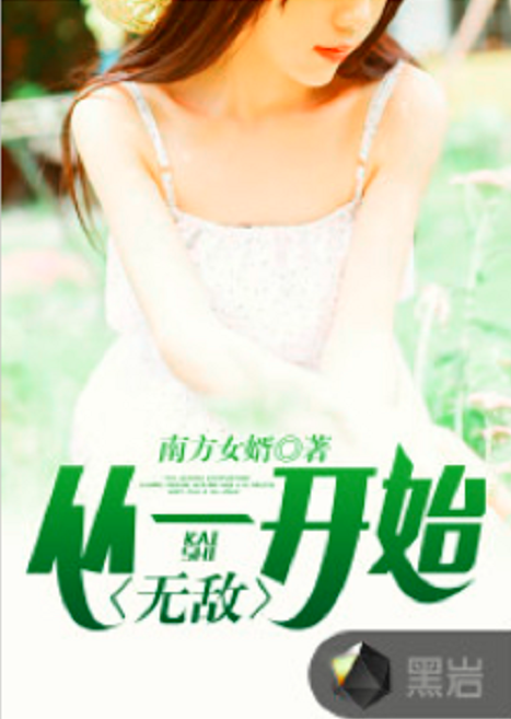 从一开始就无敌（南方女婿创作的社会类网络小说）