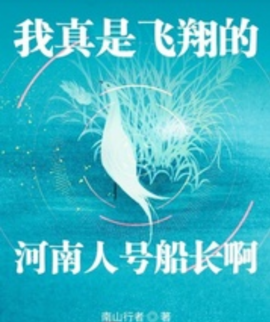 我真是飞翔的河南人号船长啊