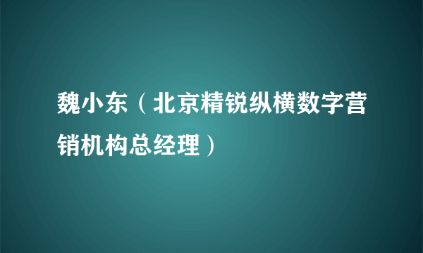 魏小东（北京精锐纵横数字营销机构总经理）