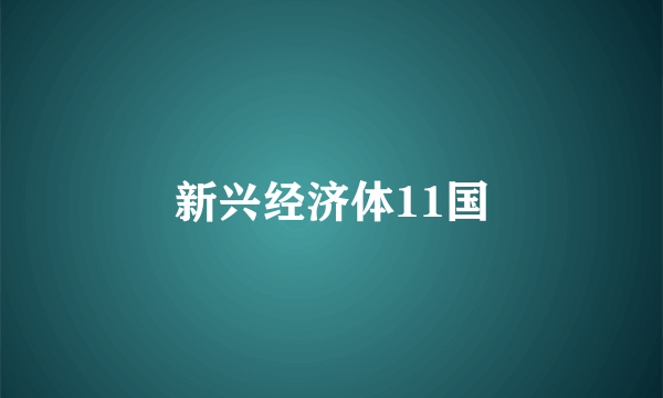 新兴经济体11国