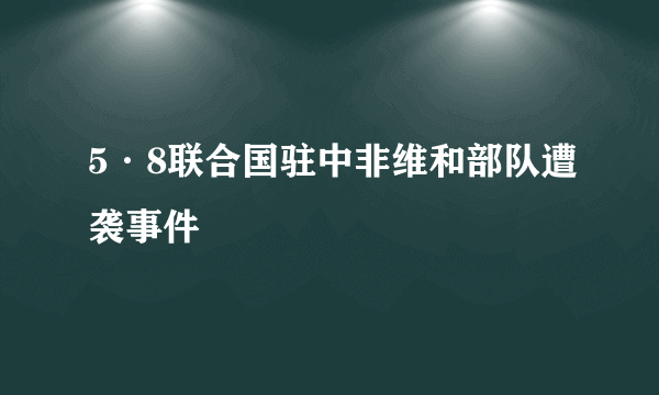 5·8联合国驻中非维和部队遭袭事件