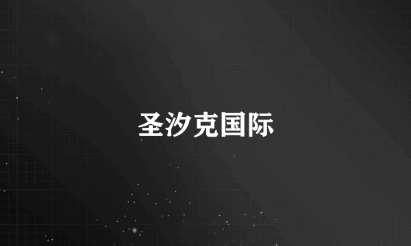 圣汐克国际