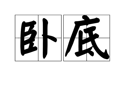 卧底（汉语词语）