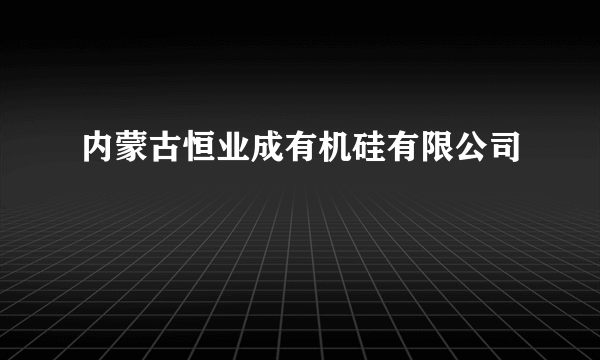 内蒙古恒业成有机硅有限公司
