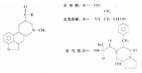 麦角制剂