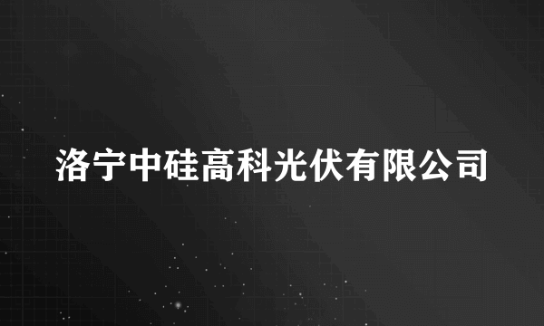 洛宁中硅高科光伏有限公司