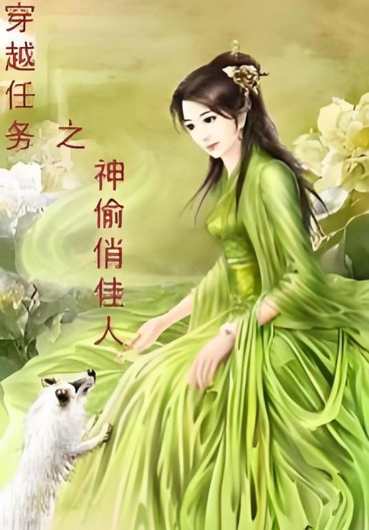 穿越任务之神偷俏佳人