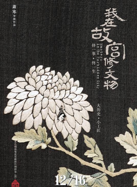 我在故宫修文物（2016年叶君、萧寒执导纪录片）