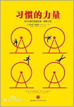 习惯的力量（2013年中信出版社出版的图书）