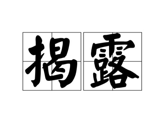 揭露（汉语词语）