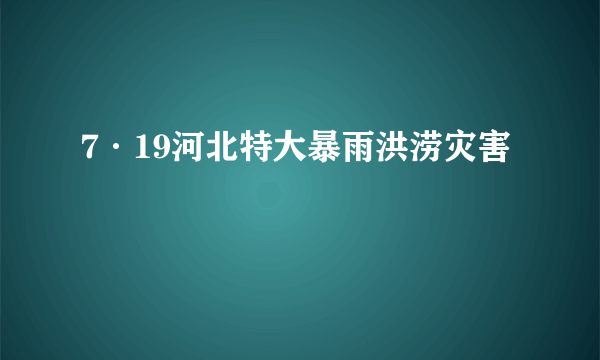 7·19河北特大暴雨洪涝灾害