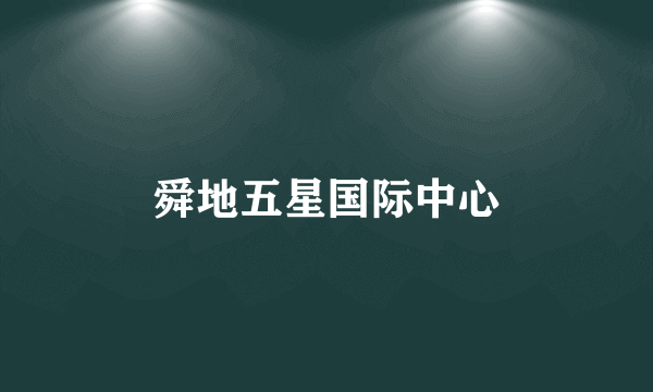 舜地五星国际中心