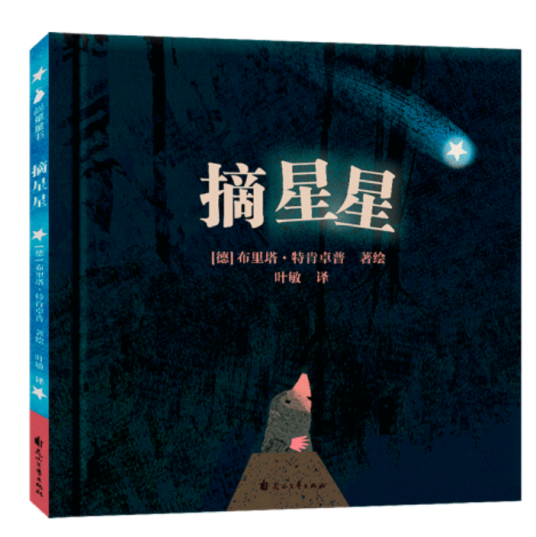 摘星星（2019年花山文艺出版社出版的图书）