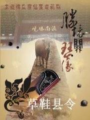 草鞋县令（2009年陈小春、陈好主演电视剧）
