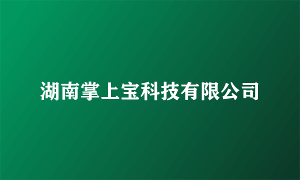 湖南掌上宝科技有限公司