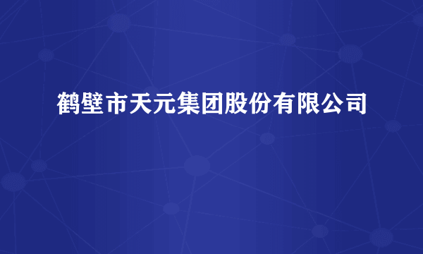鹤壁市天元集团股份有限公司