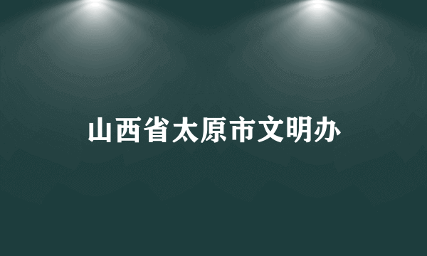 山西省太原市文明办