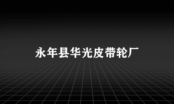 永年县华光皮带轮厂