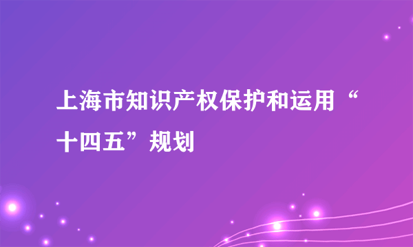 上海市知识产权保护和运用“十四五”规划