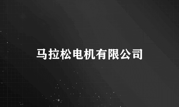马拉松电机有限公司