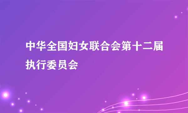 中华全国妇女联合会第十二届执行委员会