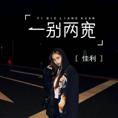 一别两宽（佳利演唱歌曲）