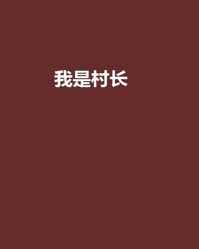 我是村长（优宫小说）